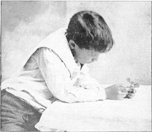child studying leaf