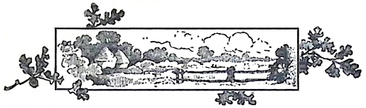 image029