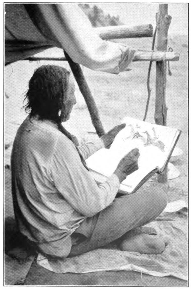 Wooden Leg drawing
