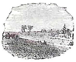 image010