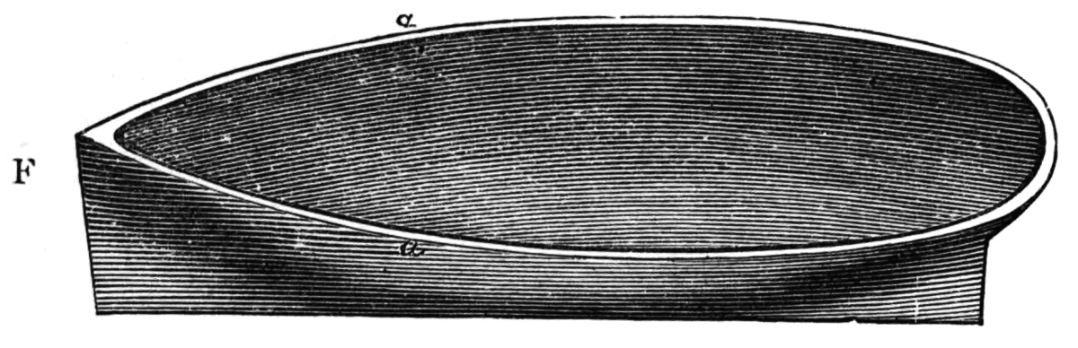 the hull scooped out