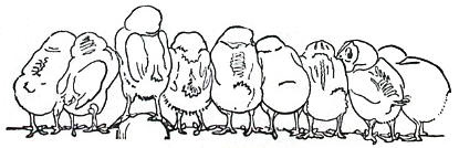image006