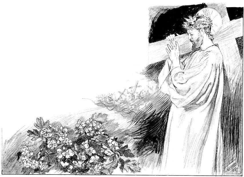 Story page titled 'The Hawthorn' featuring a black and white sketch of Jesus carrying the cross on the right and blooming hawthorn flowers at the bottom left.