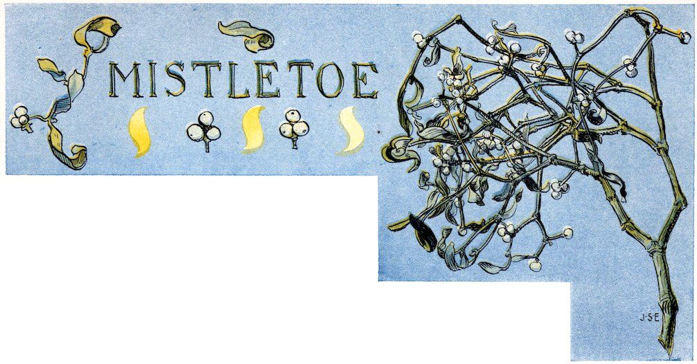 Story page layout titled 'MISTLETOE' featuring small clusters of white berries on a blue background and a large detailed sketch of tangled mistletoe branches.
