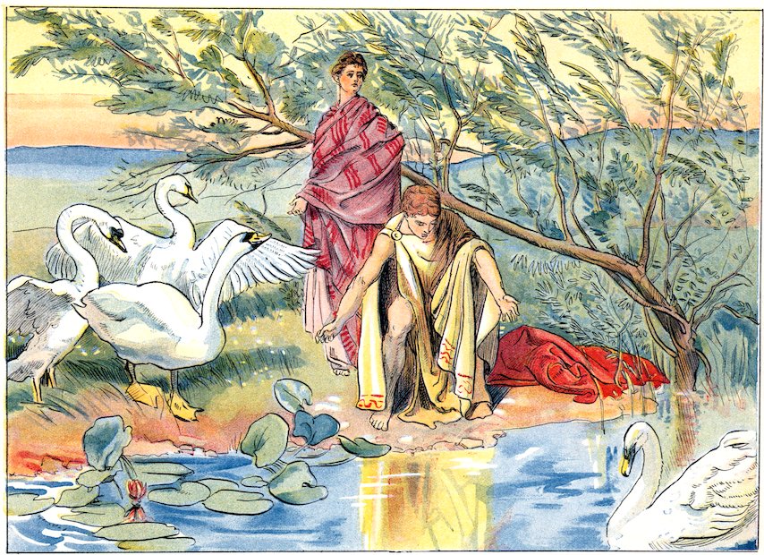 Color illustration of a classical man and woman on a grassy riverbank interacting with a group of four white swans near water lilies.