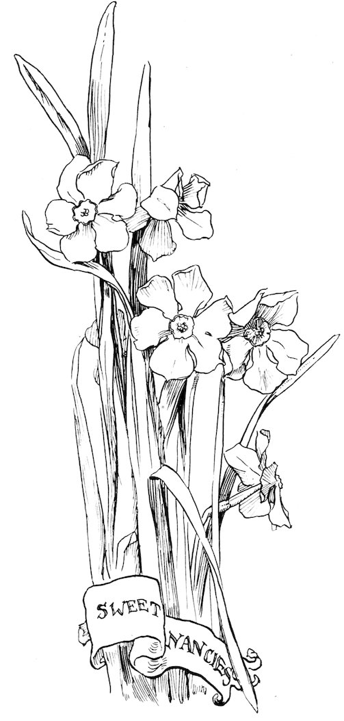 Story header layout titled 'SWEET NARCISSUS' on a small scroll banner wrapped around a tall bundle of blooming narcissus flowers and long, blade-like leaves.