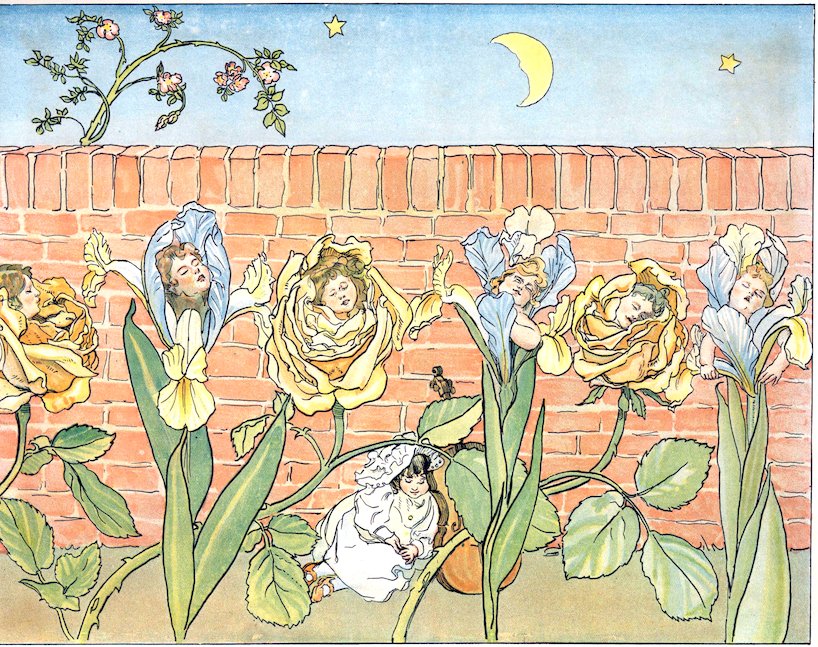 Flyleaf: Nighttime illustration of flower fairies sleeping inside roses and irises while a young girl sleeps against her cello below a brick wall.