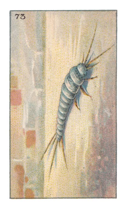 73