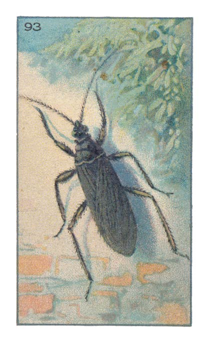 93