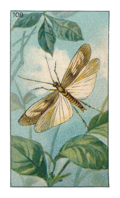 108