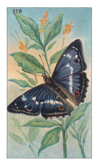 118