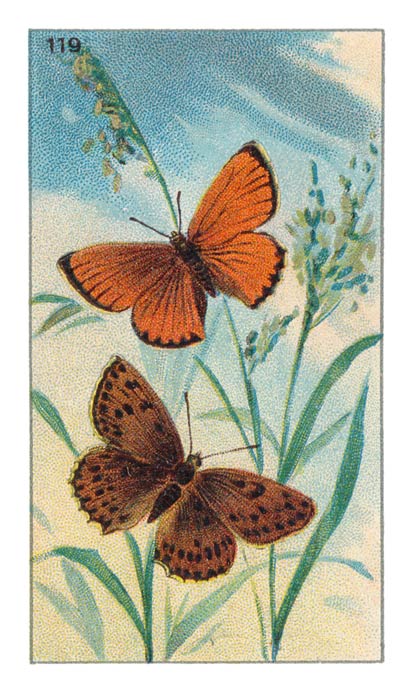 119