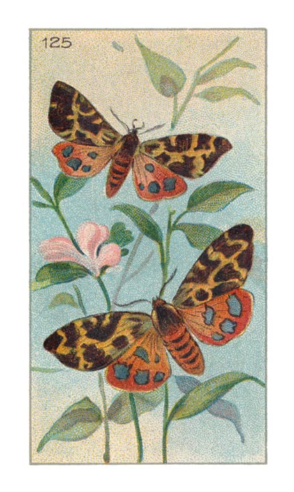 125