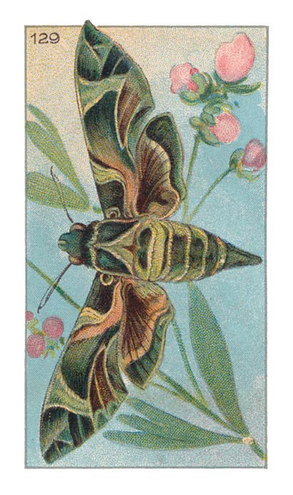 129