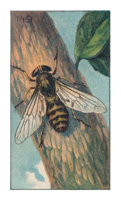 149