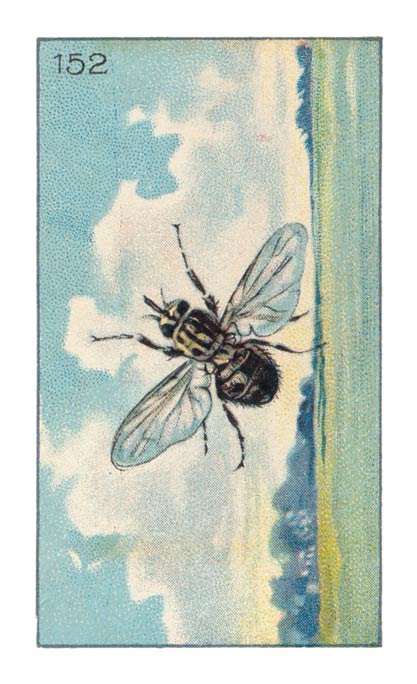 152