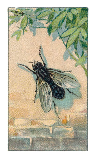 154