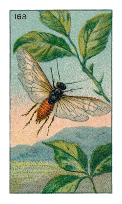 163