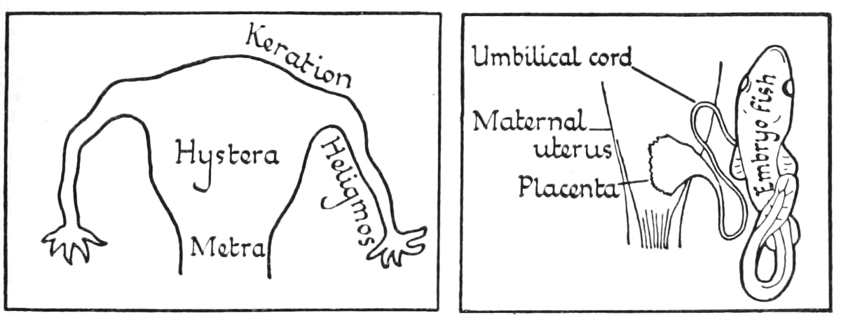 figures 11 and 12