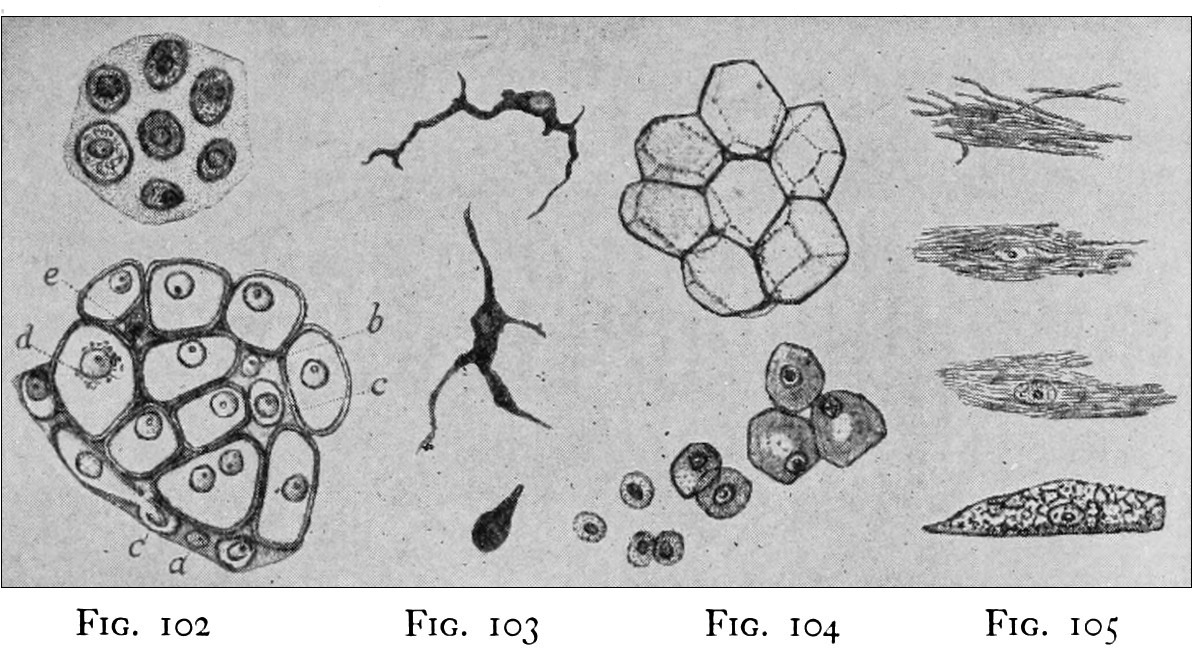 figures 102 to 105