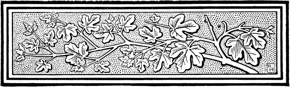 Decorative line drawing