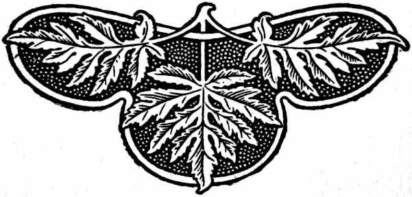 Decorative line drawing