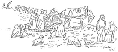 It depicts a
harvest scene — figures gathering crops in a field, a horse-drawn cart,
dogs, and onlooking men in top hats.