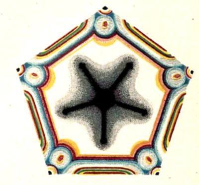 A colorful
pentagonal diagram featuring a dark, star-shaped silhouette at the
center surrounded by a white background, framed by a decorative
pentagon-shaped border with repeating circular medallions and striped
patterns in red, orange, blue, and green.