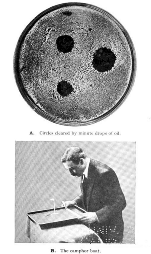 Two-part
illustration: (A) a dish showing circles cleared by minute drops of oil
— dark spots on a textured surface, demonstrating oil films spreading
(used to estimate molecular size); (B) the camphor boat — a man
observing a small camphor-powered boat floating on water, illustrating
surface tension propulsion.