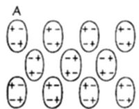 A diagram
labeled A showing a grid of oval shapes, each divided into a +
(positive) half and a − (negative) half, arranged in alternating
orientations.