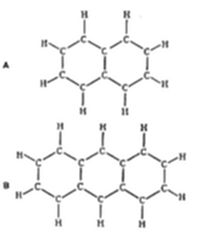 Two chemical
structural diagrams (A and B) showing fused double-ring aromatic
hydrocarbon structures — consistent with naphthalene, displaying two
hexagonal carbon rings sharing an edge, each carbon bonded to hydrogen
atoms around the periphery.