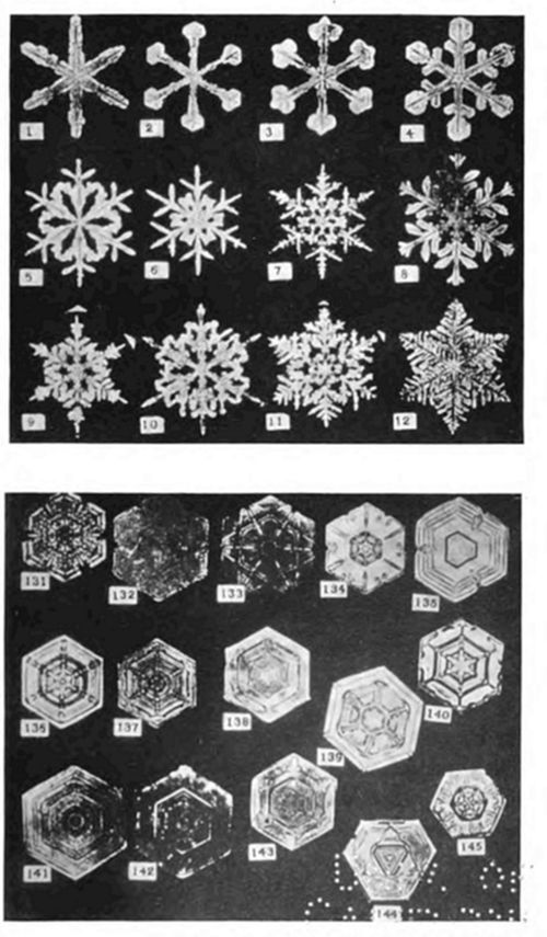 A two-part
plate of snowflake photomicrographs: the top panel (1–12) shows classic
branching, six-pointed feathery crystals; the bottom panel (131–145)
shows hexagonal, plate-like faceted forms — together illustrating the
range of snow crystal shapes.