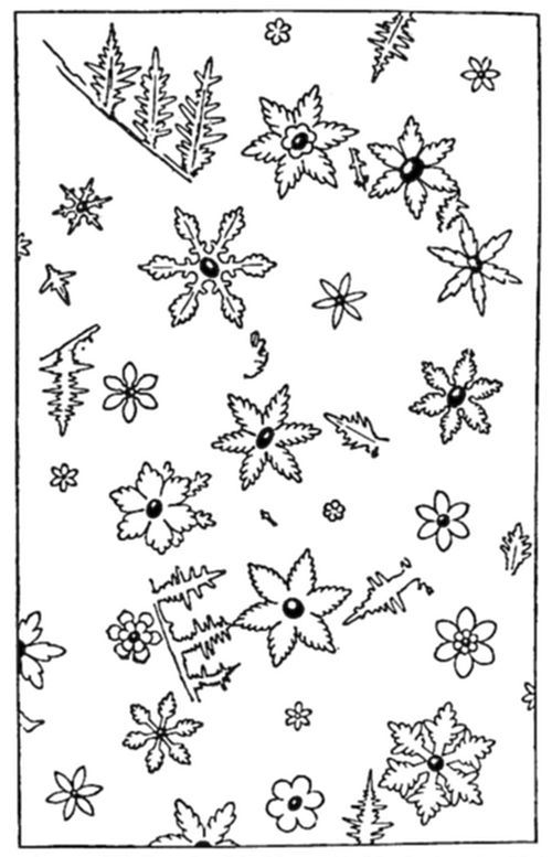 A
line-drawing plate showing a variety of ice/frost crystal patterns —
branching fern-like forms, six-petaled star and flower shapes, small
snowflake rosettes, and jagged zigzag frost patterns, scattered across
the page to illustrate the diverse natural forms of frost or ice
crystal growth.