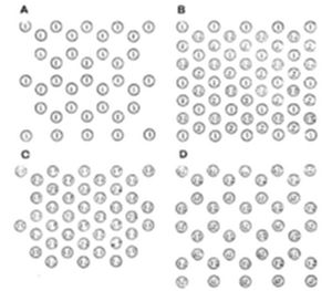 A four-panel
diagram (A–D) showing grids of circles containing small letters or
symbols, arranged in slightly different patterns or orientations across
each panel.