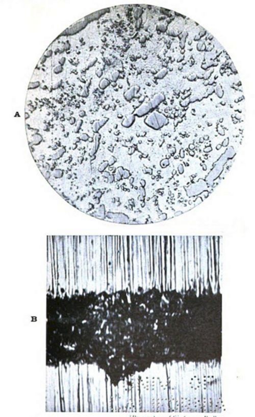 Two
panels: (A) a circular micrograph showing scattered irregular gray
shapes/particles (possibly precipitates or inclusions) on a light
background; (B) a vertically-lined strip with a dark, irregular blotch
in the middle.