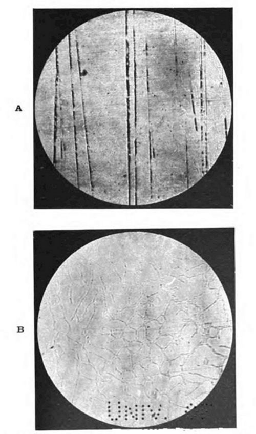 Two circular
micrographs: (A) shows faint vertical scratch-like lines/striations
on a light gray surface; (B) shows a fine, faint network of grain
boundaries on a similarly plain surface.