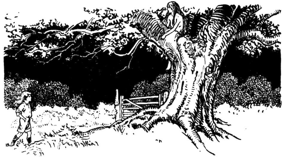 A black and white illustration depicts a boy standing in a field looking at a figure sitting in the branches of a large tree.