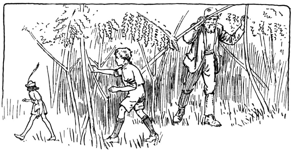 A black and white illustration depicts a smaller figure with a feathered cap walking ahead of a boy, followed by a man walking through dense vegetation.