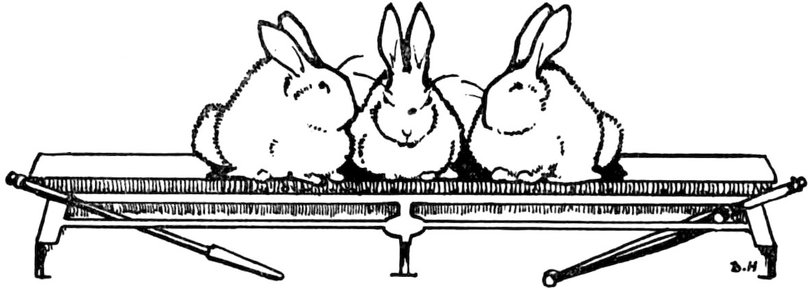 A black-and-white illustration of three rabbits sitting on a bench or flat wooden surface.