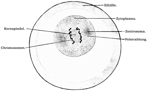Fig. 15.