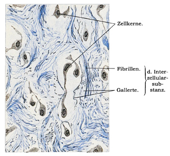 Fig. 45.