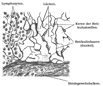 Fig. 46.