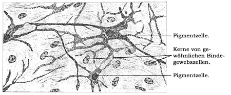 Fig. 54.