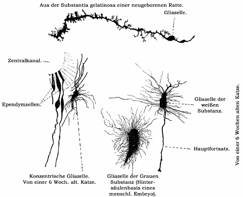 Fig. 92.