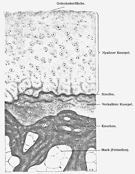 Fig. 140.