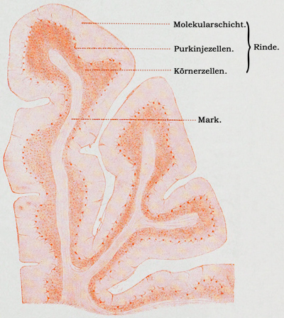 Fig. 155.