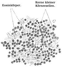 Fig. 158.