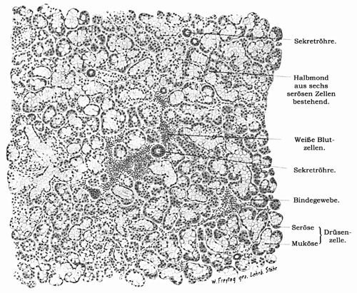 Fig. 201.