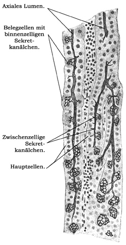 Fig. 232.