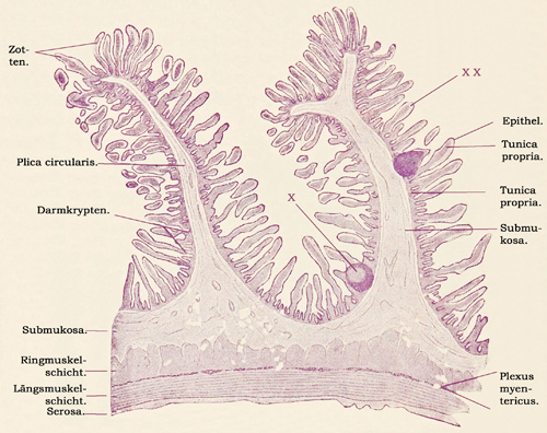 Fig. 235.